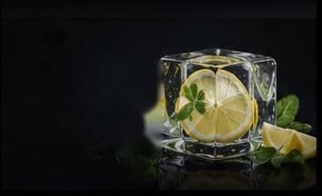 Lemon Mint – Eiswürfel